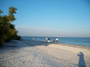 Sanibel Island beach