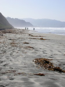 La Jolla beach
