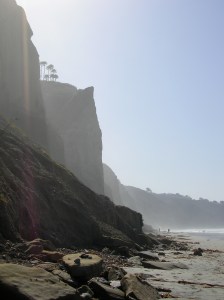 Torey PInes State Beach