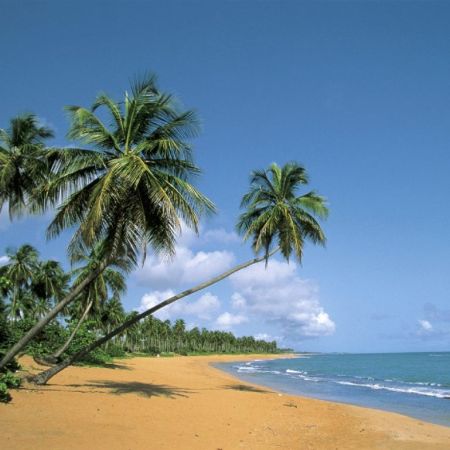 Photo credit: http://www.wallpaperweb.org